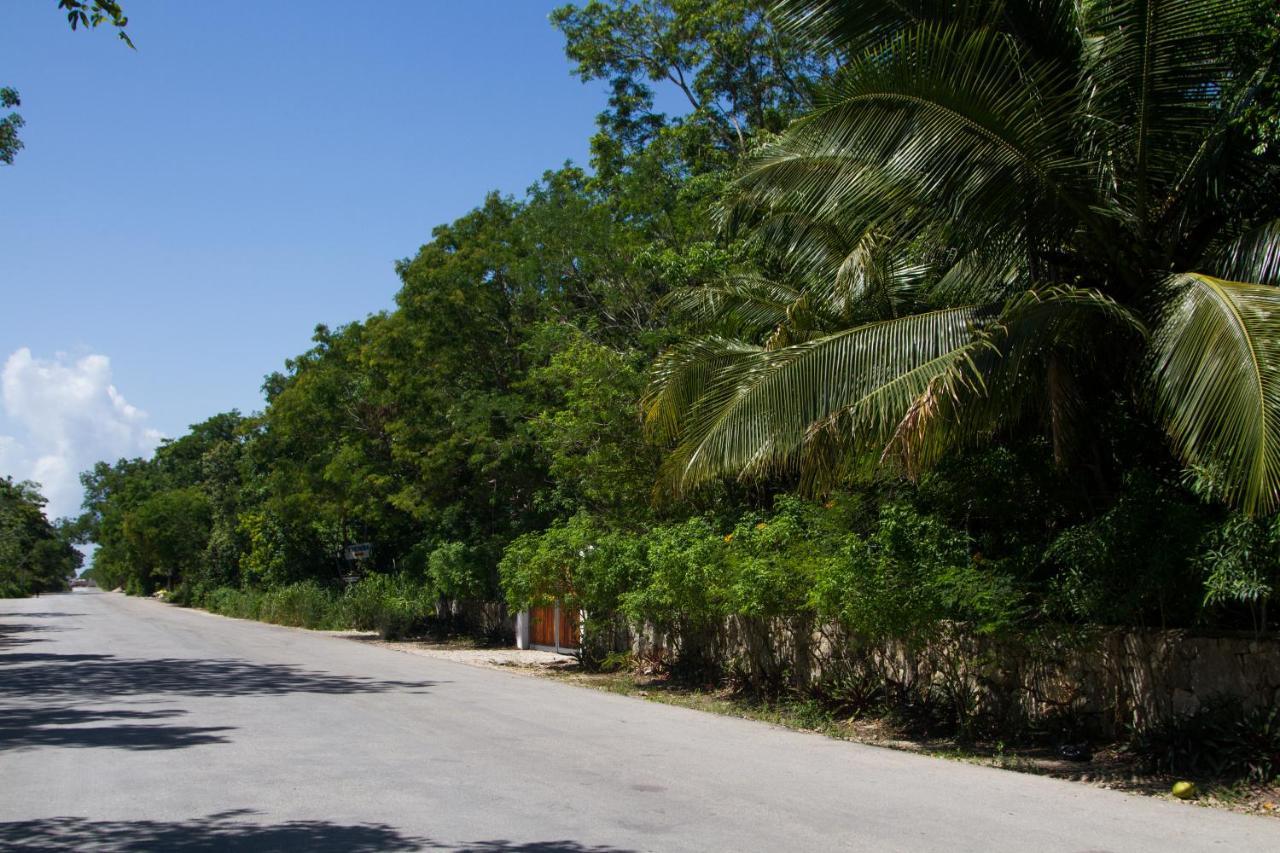 Villa Flor De Mayo Tulum Pueblo Buitenkant foto