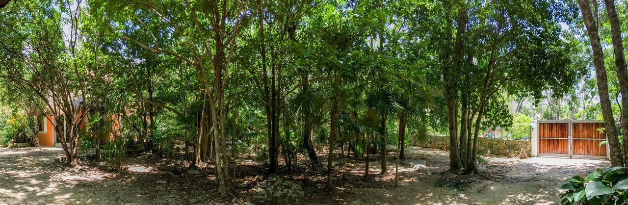 Villa Flor De Mayo Tulum Pueblo Buitenkant foto