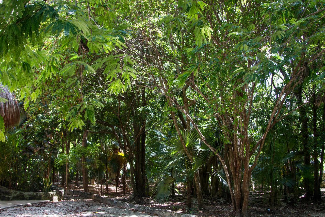 Villa Flor De Mayo Tulum Pueblo Buitenkant foto