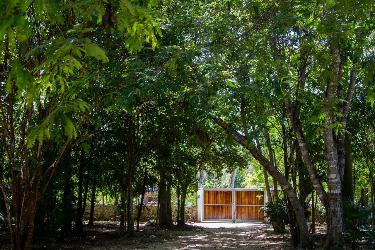 Villa Flor De Mayo Tulum Pueblo Buitenkant foto
