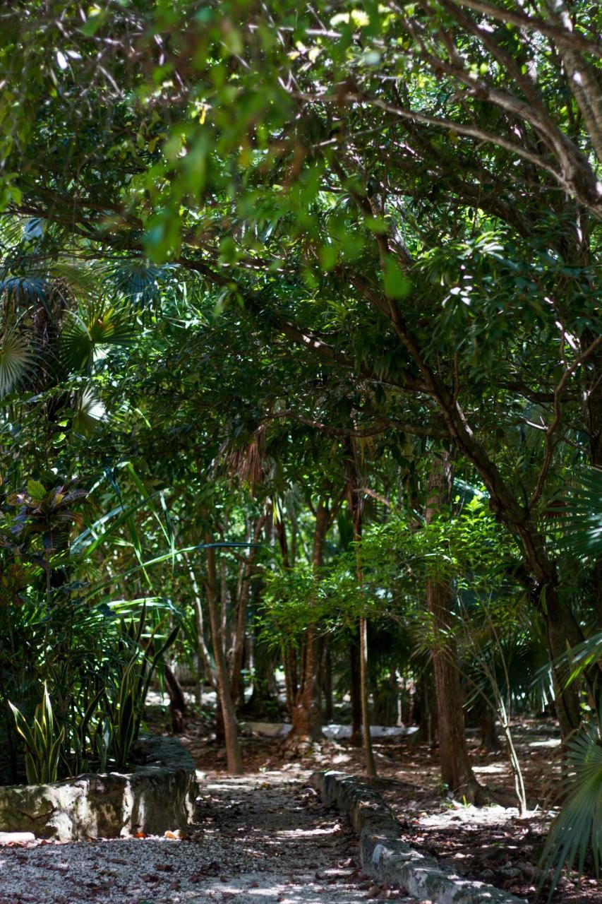 Villa Flor De Mayo Tulum Pueblo Buitenkant foto